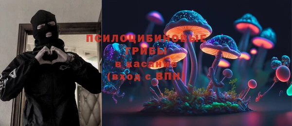 mix Богородск